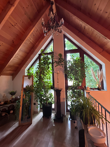 Galerie mit Pflanzen und Fensterfront im Zweifamilienhaus mit Baugrundstück Braunschweig